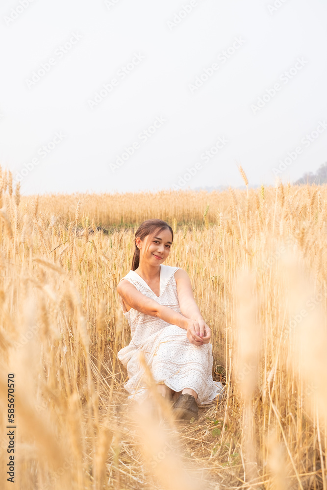 Young Asian women in white dresses in the Barley rice field season golden color of the wheat plant at Chiang Mai Thailand Young Asian women in white dresses in the Barley rice field season golden color of the wheat plant at Chiang Mai Thailand