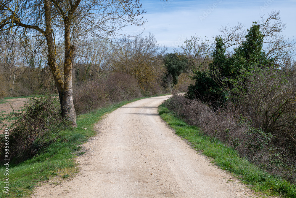 road in the forest