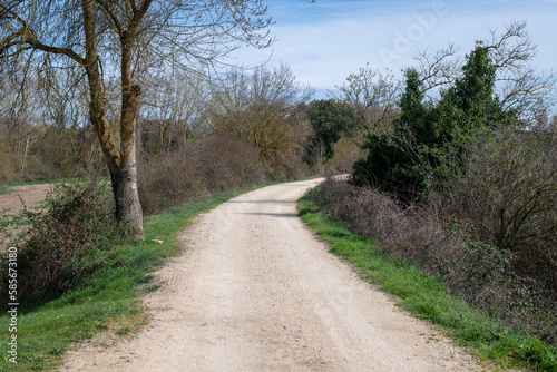 road in the forest