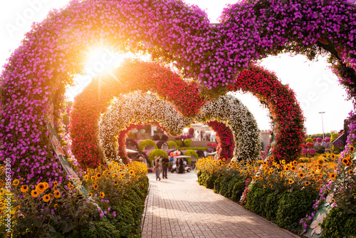 Vászonkép Heart shape decoration at Miracle garden in Dubai, beautiful park with many flow