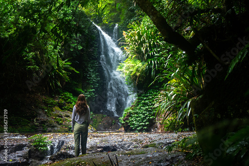hiker girl stands gazing at an amazing tropical waterfall (elabana falls) in lamington national park near gold coast and brisbane in queensland, australia; rainforest waterfall amidst lush vegetation