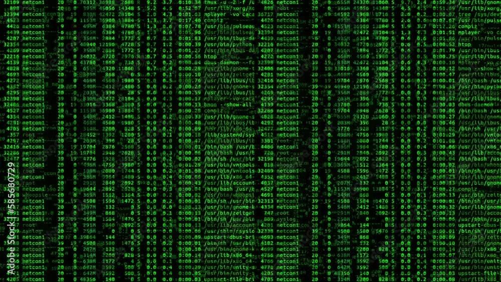 Computer code and data numbers