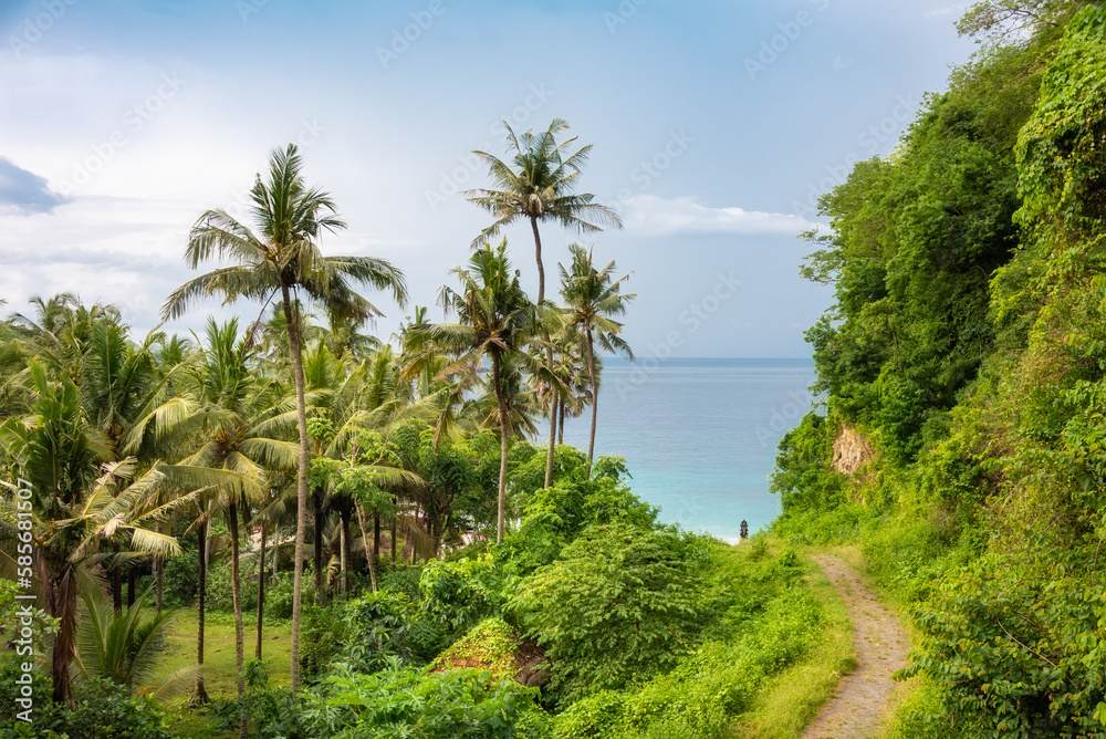 Path to the sea coast among palm trees and rainforest Path to the sea coast among palm trees and rainforest