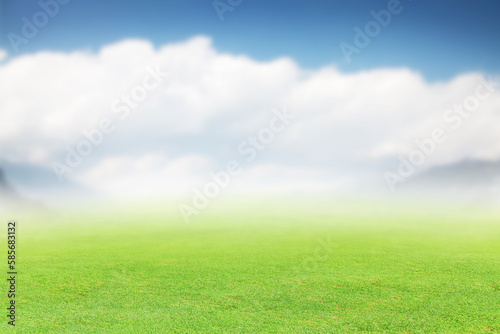 Lush green summer landscape with field and sky