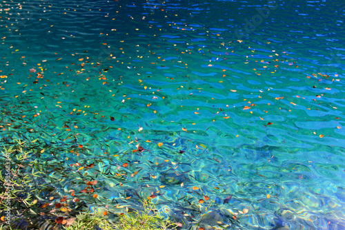 Natural Beauty of Jiuzhaigou Valley