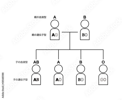 血液型の遺伝（親がAOとBOの場合）