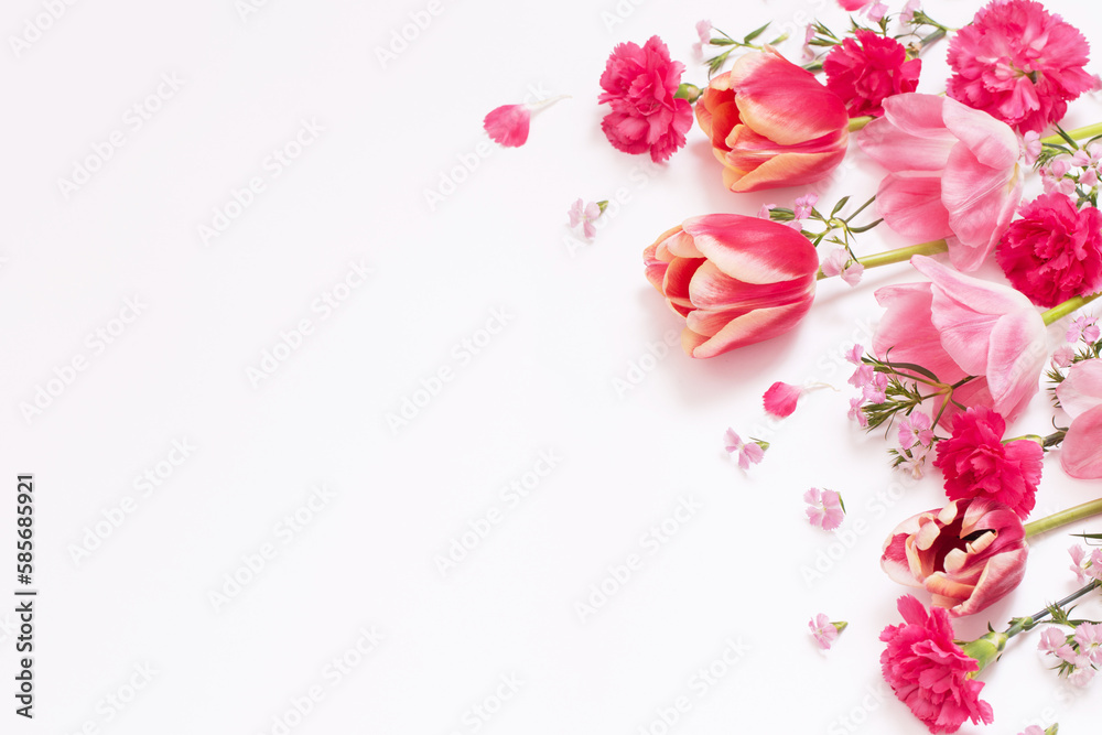 beautiful spring flowers on white  background