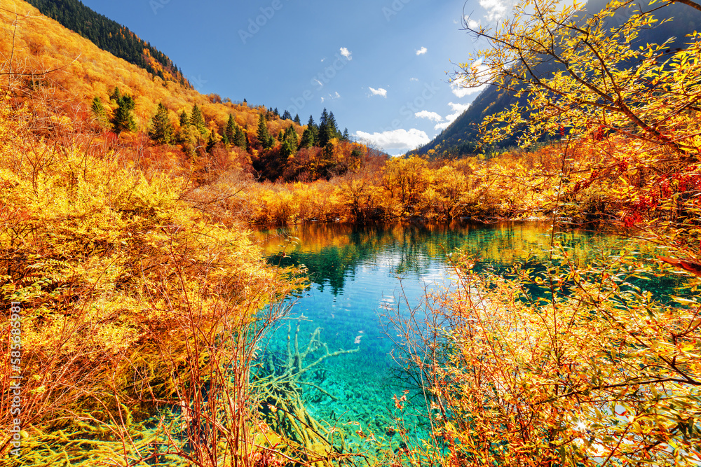 Natural Beauty of Jiuzhaigou Valley