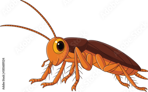 Cute cockroach cartoon on white background