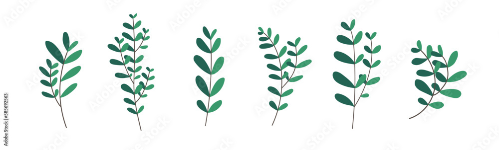 Hand drawn botany branches with leaves collection isolated on white. Floral garden spring plants decor element set for wedding invitations, greeting cards design. Decorative botanical vector pack. Hand drawn botany branches with leaves collection isolated on white. Floral garden spring plants decor element set for wedding invitations, greeting cards design. Decorative botanical vector pack.