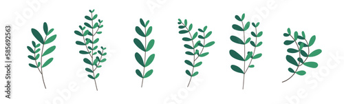 Hand drawn botany branches with leaves collection isolated on white. Floral garden spring plants decor element set for wedding invitations, greeting cards design. Decorative botanical vector pack.
