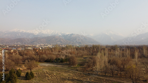 Fototapeta Naklejka Na Ścianę i Meble -  drone view of the spring park in Almaty