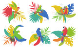 Colorful set of parrots on tropical leaves flat vector illustration isolated.