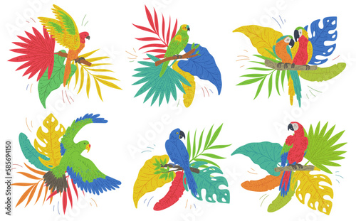 Colorful set of parrots on tropical leaves flat vector illustration isolated.