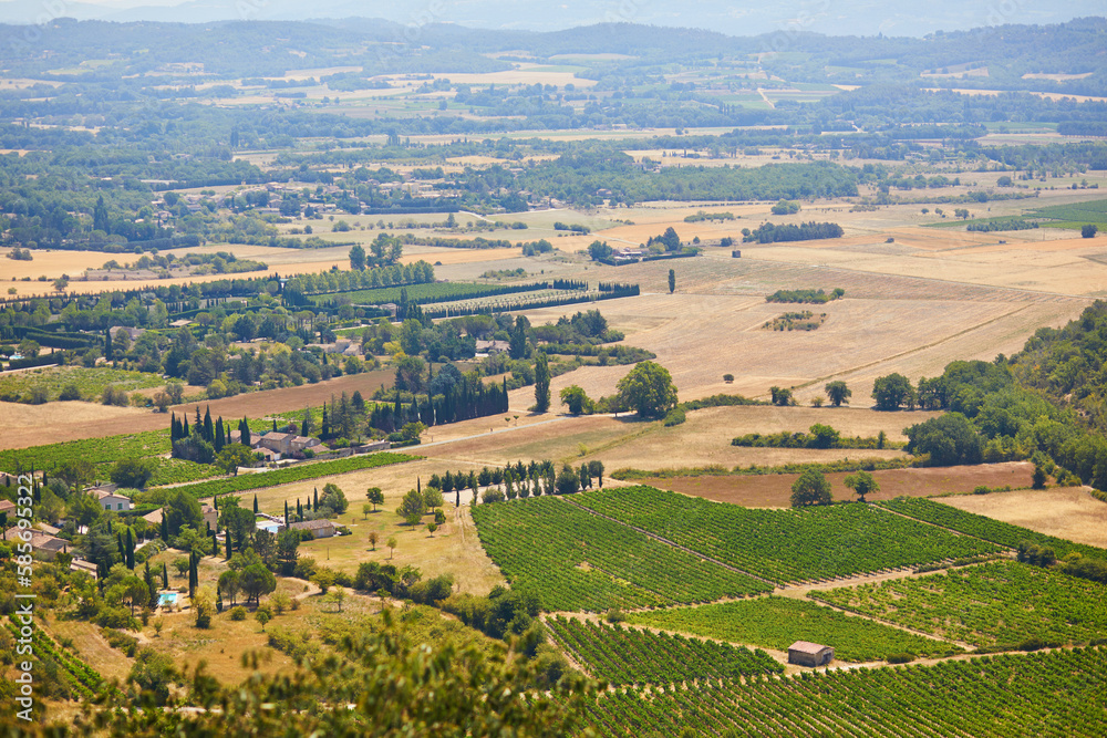 Aerial Mediterranean landscape with cypresses, olive trees and vineyards in Provence, Southern France Aerial Mediterranean landscape with cypresses, olive trees and vineyards in Provence, Southern France