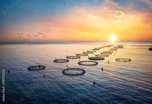 High angle aerial view of a a fish farm off the coast in the blue, mediterranean sea in Greece during sunset time