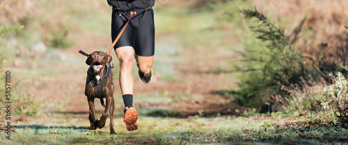 Obraz na płótnie Dog and its owner taking part in a popular canicross race