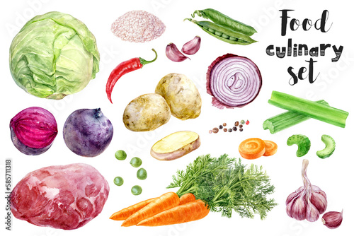 Watercolor illustration of beets  cabbage  garlic  meat  carrot  salt  pepper  celery  potato  onion  peas  hot pepper  isolated on white background  closeup.