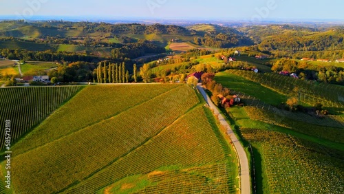 Aerial drone 4K footage of Prlekija which is a picturesque region in northeastern Slovenia known for its rolling hills, lush vineyards, and rich cultural heritage. photo