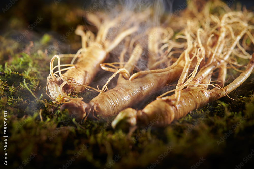 Ginseng, ginseng on moss background Ginseng, ginseng on moss background