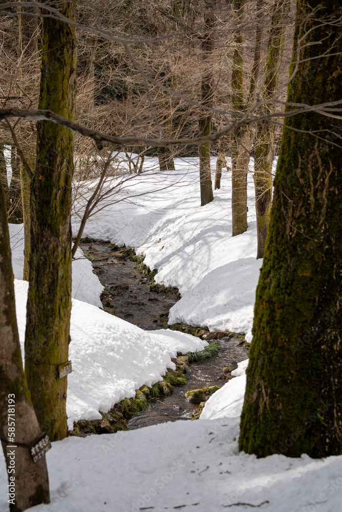 雪の里山風景