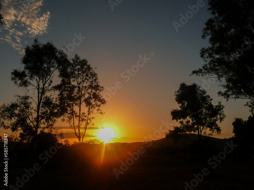 sunset in the forest