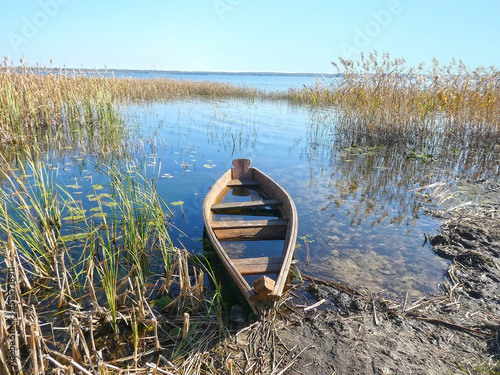 An old half-flooded wooden boat on the shore of a lake overgrown with reeds.