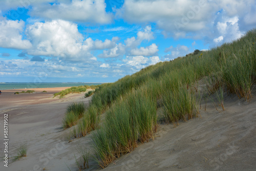 Sand dunes  beach grass and the sea