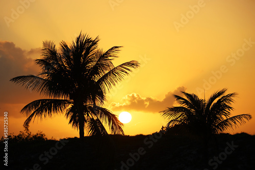 Rising sun and silhouettes of coconut palm trees on tropical beach, background for vacation and travel