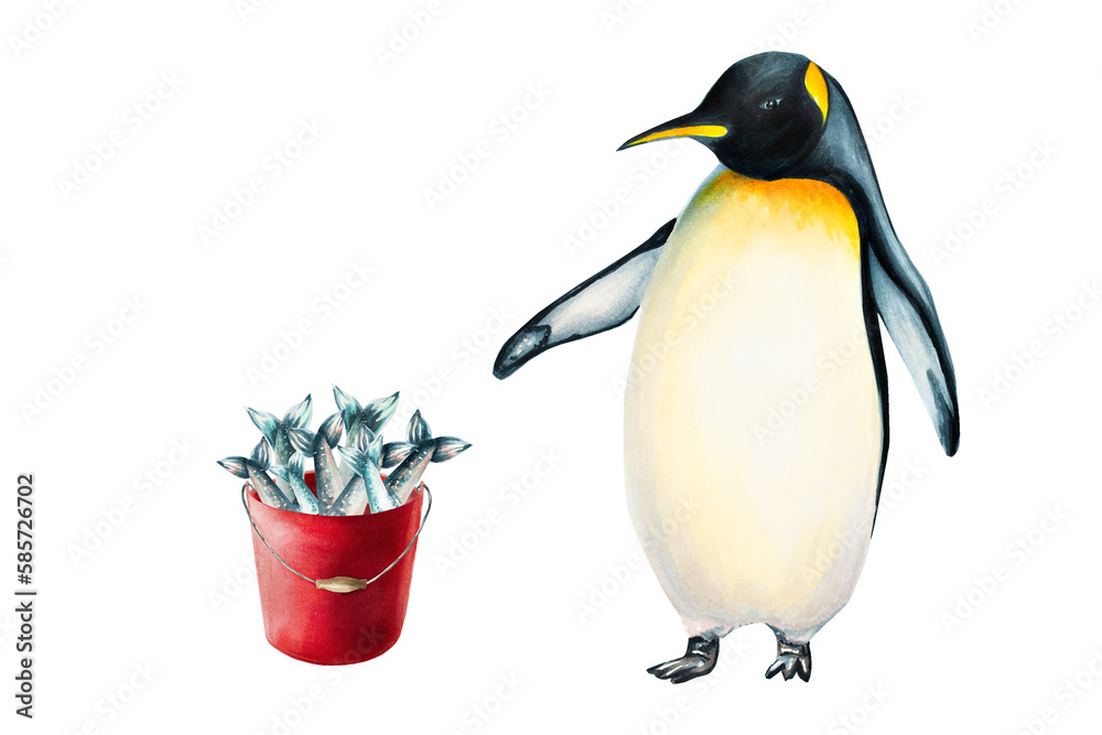 Fototapeta premium Watercolor king penguin with red bucket full of fish. For designers, decoration, postcards, wrapping paper, scrapbooking, cover and logos, invitations, posters and textile