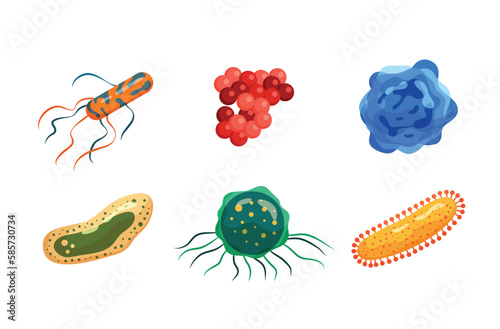 Examples of gram-negative and gram-positive bacteria in magnifying glass. bacilli, vibrio, spirillum, spirochetes, escherichia, clostridia, corynebacterium. Vector illustration in flat style. photo