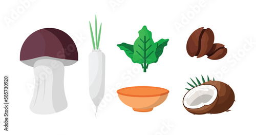 Concept of agricultural resources and natural raw materials, cooking ingredients, terrestrial plants, shiitake mushrooms, radishes, leafy vegetables, coffee beans, coconut milk or roasted coconut,