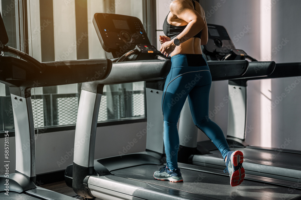 back-body-gym