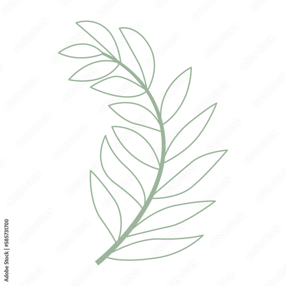 Fototapeta premium Aesthetic Leaves Outline