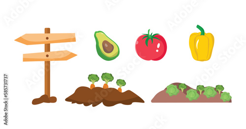 Cultivation of vegetable gardens. Garden road signs, avocado, red tomato, yellow pepper, carrot plot, broccoli plot.