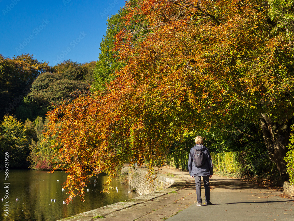 A senior takes a leisurely autumn stroll beside the lower reservoir and woodland at Chellow Dene, one of Bradford District's favourite places to unwind and exercise