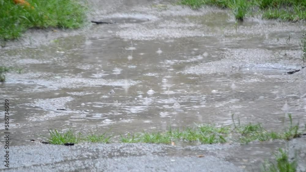 Rain. Rain dripping. Drops of heavy rain dripping on dirt ground with green grass. Raindrops hit beat soil. Raindrops fall into puddle. Rainy weather. Rainy day. Natural background. Wet rainy splash Rain. Rain dripping. Drops of heavy rain dripping on dirt ground with green grass. Raindrops hit beat soil. Raindrops fall into puddle. Rainy weather. Rainy day. Natural background. Wet rainy splash