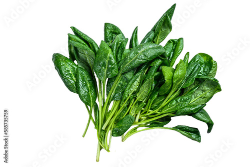 Raw fresh spinach leaves on a stone table. Isolated, transparent background.