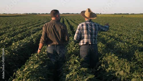 Rear view of two farmers in a field examining soy crop.	
