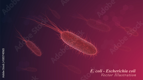 Illustration of Escherichia coli Bacteria, Microscopic View of Escherichia coli Cells