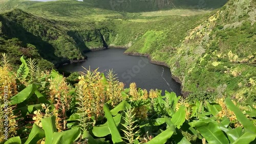 Moving clouds over ginger lilies in flower at Lagoa Comprida lake on Flores, Azores Islands, Portugal, Atlantic photo