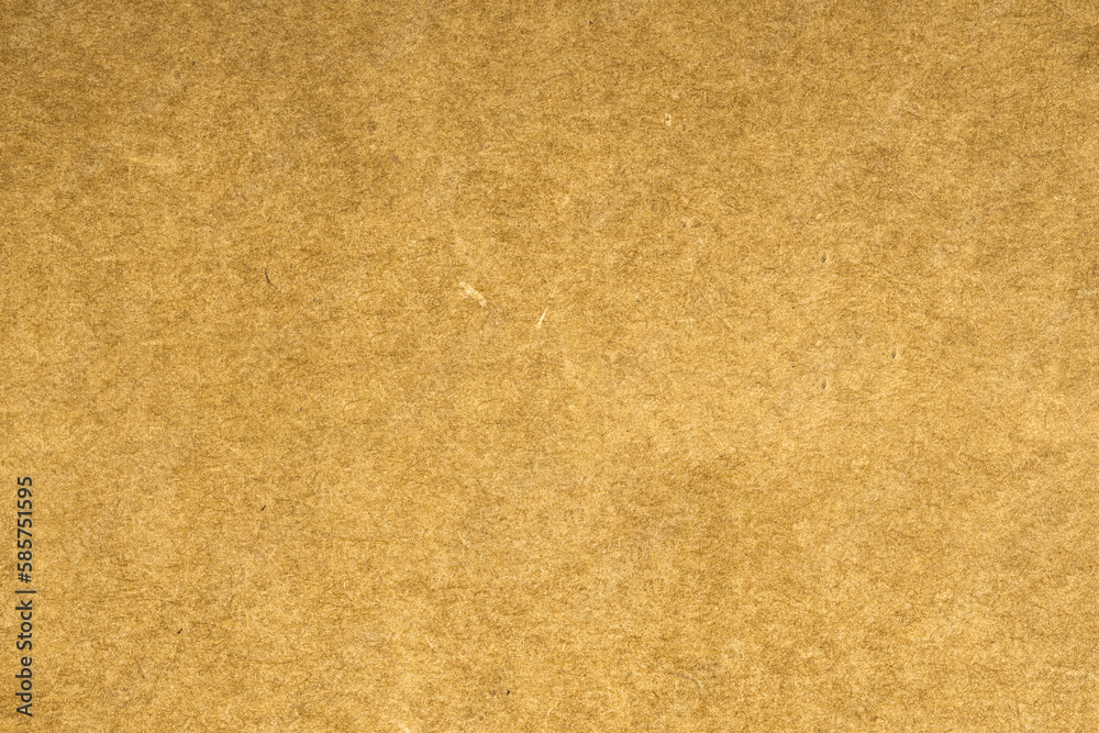 Fototapeta premium Abstract textured background with fine details