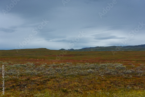 Landscape of the tundra in northern Norway