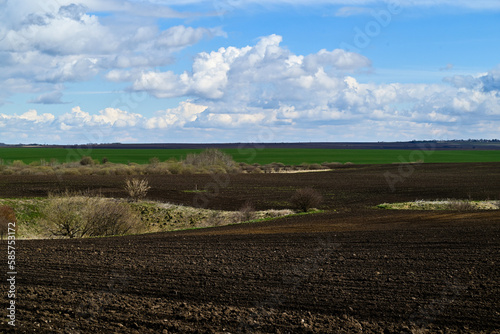 A field ready for sowing wheat. The rich  dark soil has been tilled into rows  with visible clumps of earth scattered across the ground.