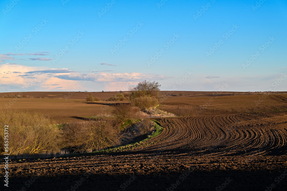 A field ready for sowing wheat. The rich, dark soil has been tilled into rows, with visible clumps of earth scattered across the ground.