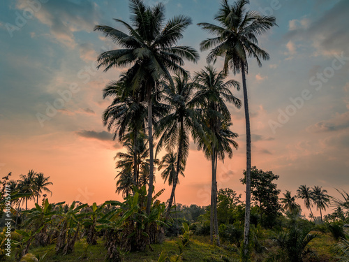 Sundown in Thailand