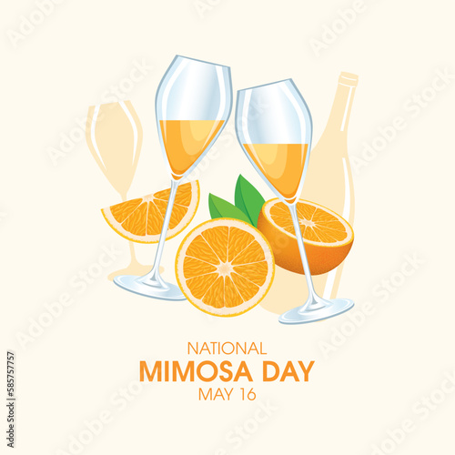 National Mimosa Day vector illustration. Two champagne flutes with orange juice illustration. Mimosa cocktail with oranges drawing. May 16 every year. Important day