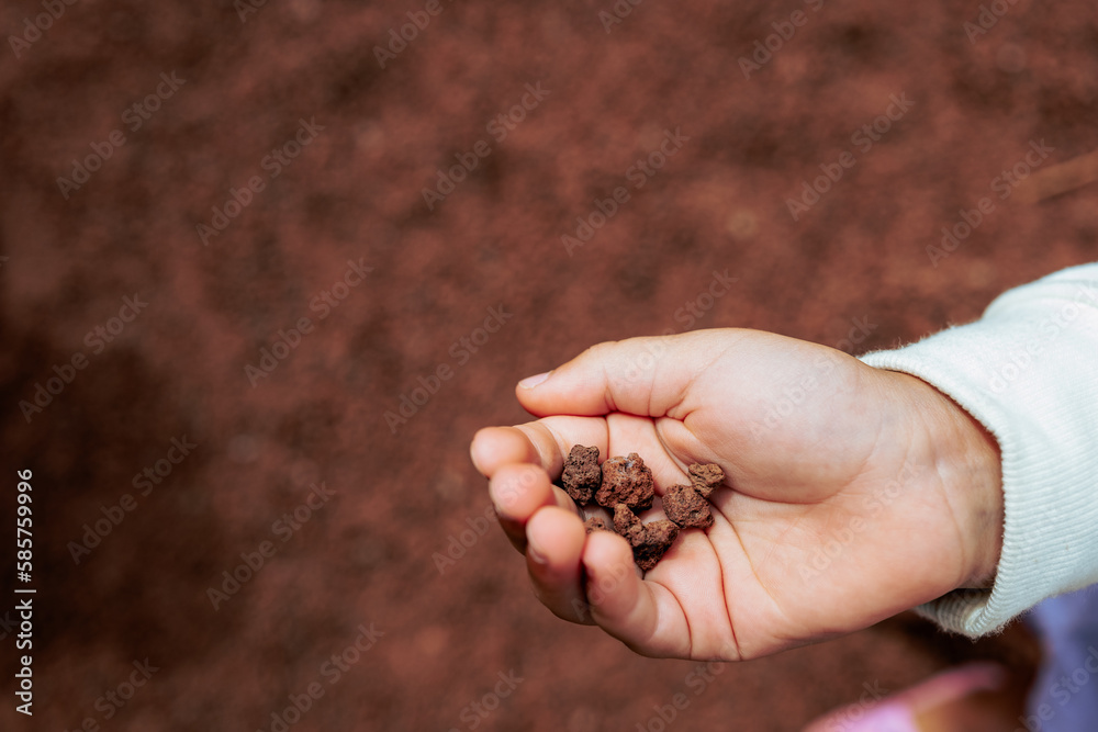 Obraz premium kid with hot volcanic rocks in hand