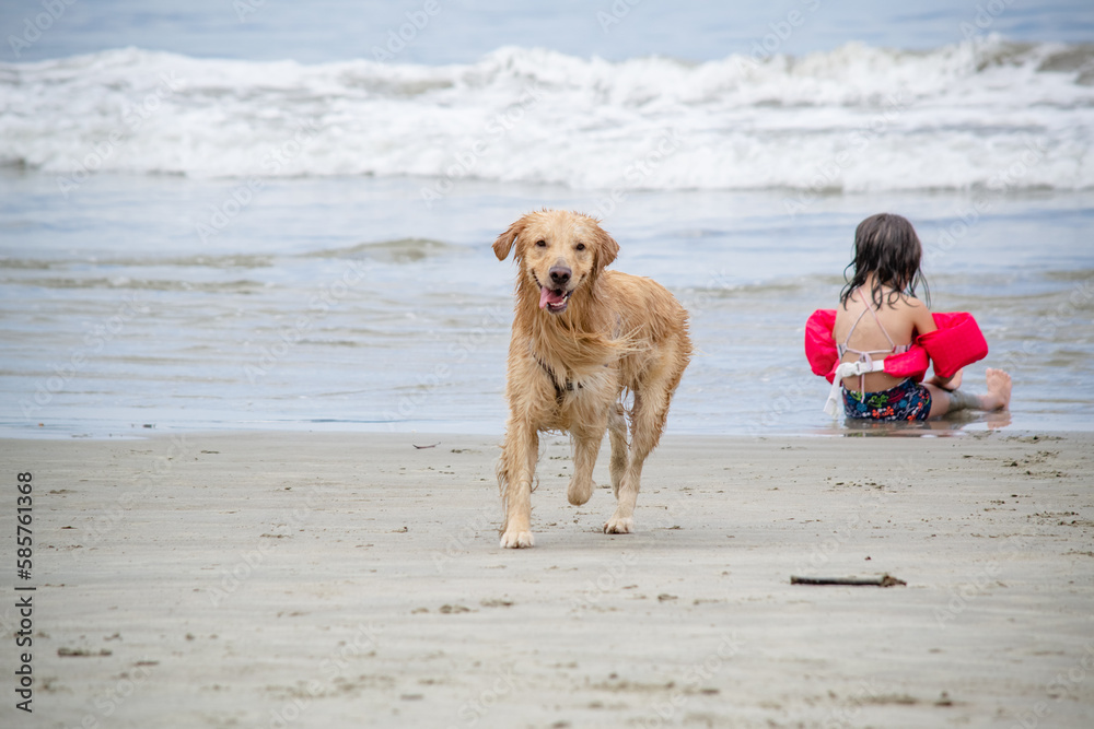 Criança brincando na praia com cachorro golden retriever com fundo para ondas e areia da praia. Criança brincando na praia com cachorro golden retriever com fundo para ondas e areia da praia.