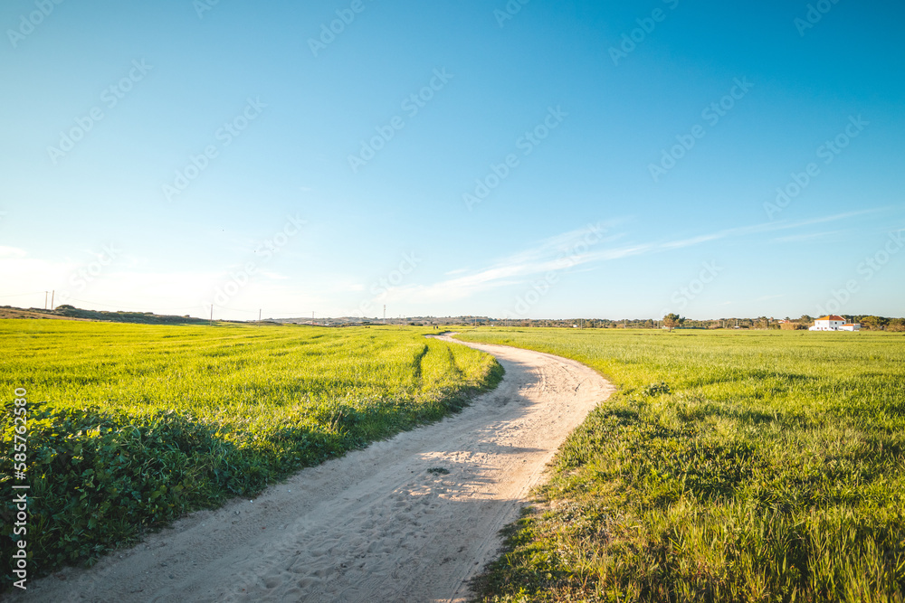 Obraz premium Walk along the Rota Vicentina, heading through lush spring and green pastures, Vila Nova de Milfontes, Odemira, Portugal. Fisherman trail
